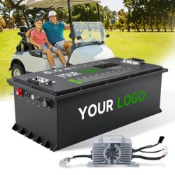 Deep Cycle BMS 73.6V 210Ah LiFePO4 Lithium Batteries for Electric Golf Carts