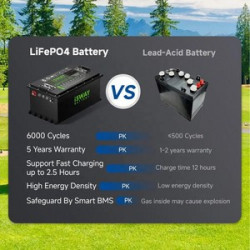 Deep Cycle BMS 73.6V 210Ah LiFePO4 Lithium Batteries for Electric Golf Carts