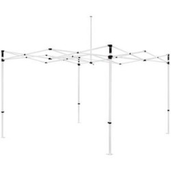 10'x10' Custom Canopy with Single Side Full Back Wall