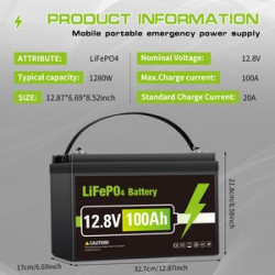 12V 100AH LiFePO4 Lithium Battery