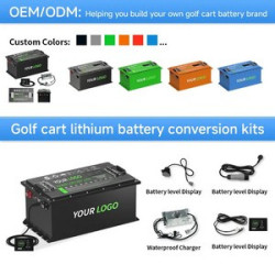 Deep Cycle BMS 51.2V 150Ah LiFePO4 Lithium Batteries for Electric Golf Carts