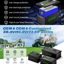 Deep Cycle BMS 51.2V 150Ah LiFePO4 Lithium Batteries for Electric Golf Carts
