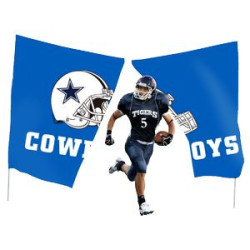 8'x12' Reusable Breakaway Flag