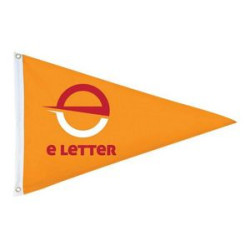 16"x24" Single-Sided Triangle Pennant Flag w Digital Print