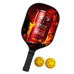 Graphite Pickleball Set (Single)
