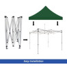 Green Canopy Tent (Topper and Frame) - (10' x 10ft)