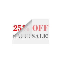 Window Lettering (12" x 12"/Sqft)