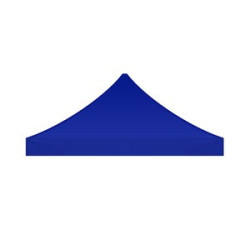 10' Custom Canopy Tent (Topper Only)