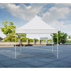 White Canopy Tent (Topper and Frame) - (10' x 10ft)