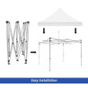 White Canopy Tent (Topper and Frame) - (10' x 10ft)