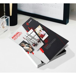Folded Business Flyers (Printed Outside and inside)