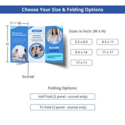 Folded Business Flyers (Printed Outside and inside)