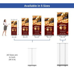 Economy Roll Up Stands Package (30" x 72")