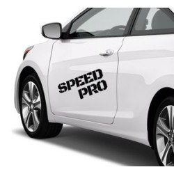 Vehicle Lettering 12" x 12"/Sqft)