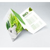 Brochure Printing (11" x 8.5")