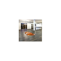 DigiPrint HD Custom Shapes Logo Mats - Landscape