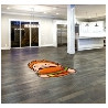 DigiPrint HD Custom Shapes Logo Mats - Landscape