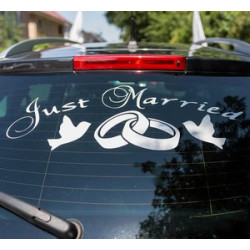 Vinyl Lettering (1' x 1ft/Sqft)