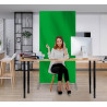 2' x 6.5' Economy Green Screen Backdrop Stands