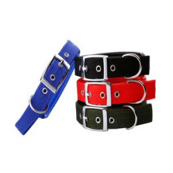 Polypropylene Dog Collar
