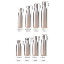 Insulated Sports Water Bottle