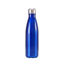 Insulated Sports Water Bottle
