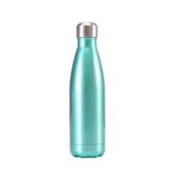 Insulated Sports Water Bottle