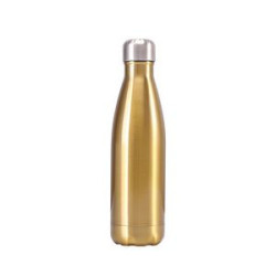 Insulated Sports Water Bottle