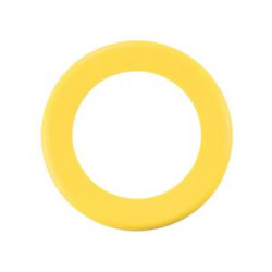 Zing Ring Flyer