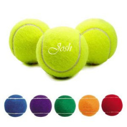 Pet Fetch Toy Tennis Ball
