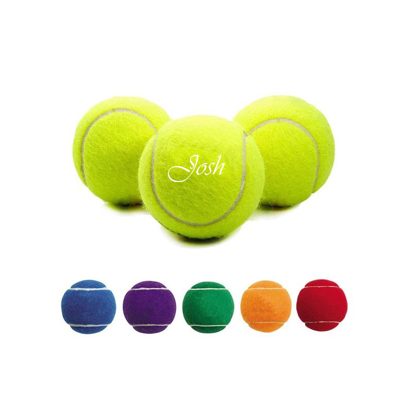 Pet Fetch Toy Tennis Ball