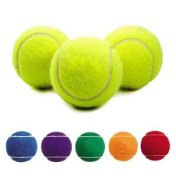 Pet Fetch Toy Tennis Ball