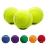 Pet Fetch Toy Tennis Ball