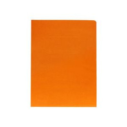 A4 Paper Double Pocket Folder