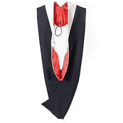 Graduation Hood for Master Degree Deluxe Academic