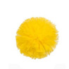 Paper Cheerleading Pom-Poms