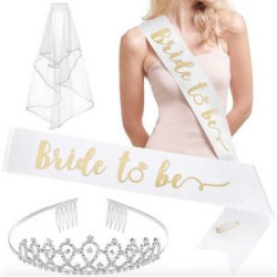 Bride Headband with Veil and Glitter Sash