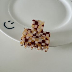 Plastic Small square acetate hair clip