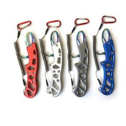 Multi-function Fish Controller