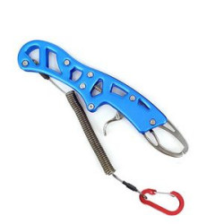 Multi-function Fish Controller