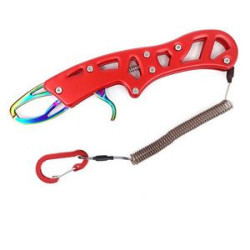 Multi-function Fish Controller