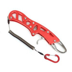 Multi-function Fish Controller