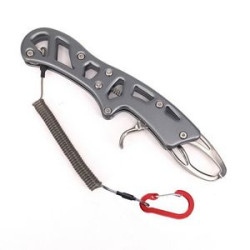 Multi-function Fish Controller