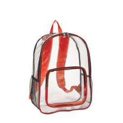 Clear Backpack