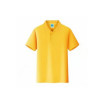 Sports Polo/Golf Shirt