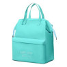 Lunch Bag With Adjustable Shoulder Strap