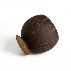 16 Oz. Coconut Gobles Shell Cups