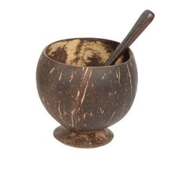 16 Oz. Coconut Gobles Shell Cups