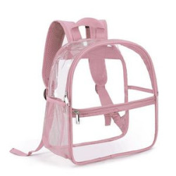 Clear School Backpack