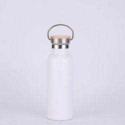 21Oz Super Sparrow Stainless Steel Water Bottle